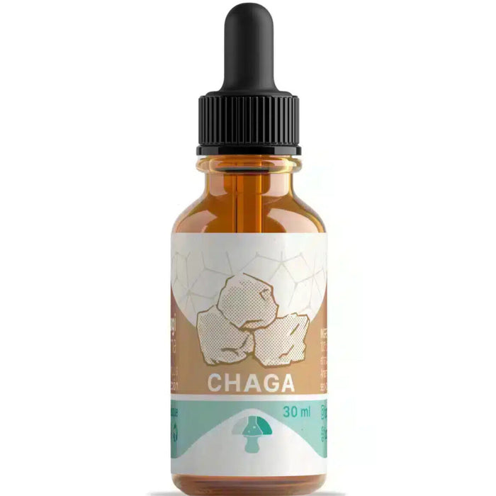 Chaga - FUNGI PHARMA